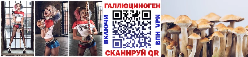наркота  Новокубанск  кракен онион  это наркотические препараты  Галлюциногенные грибы Psilocybe 