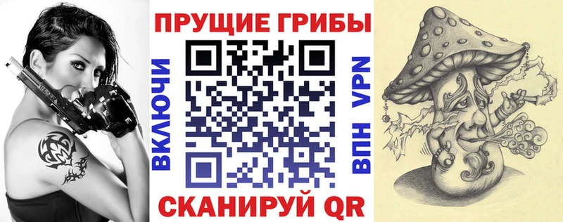 Галлюциногенные грибы Psilocybine cubensis Новокубанск