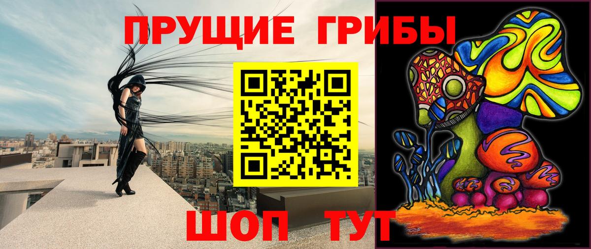 Псилоцибиновые грибы Cubensis Новокубанск