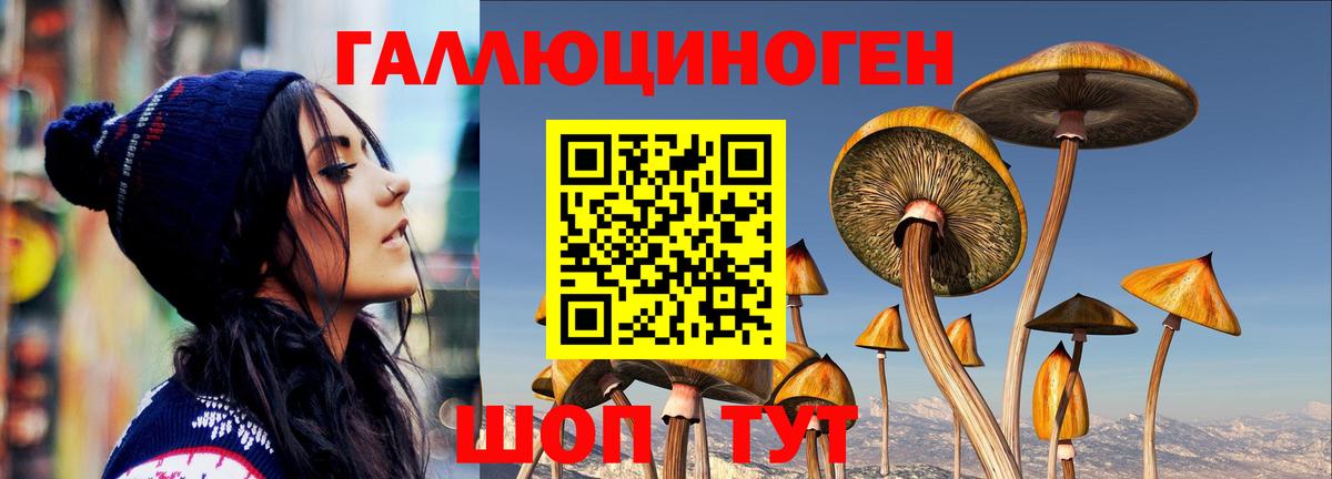 Новокубанск  Псилоцибиновые грибы ЛСД  где купить наркотик  Вход с VPN 